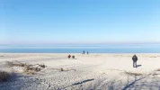 DSCF4031 (2).webp