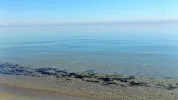 DSCF4051 (2).webp