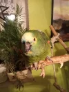 IMG_20180918_201055.webp