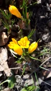 20190225_121840.webp