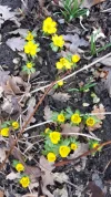 20190225_121801.webp