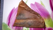 20190226_133542.webp