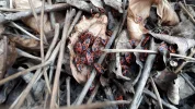 20190226_105725.webp