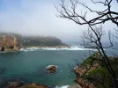 vknysna.webp