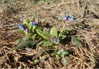 DSCN2262.webp
