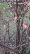 20190226_151815.webp