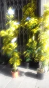 20190224_102951.webp