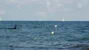 DSCF9980 (2).webp