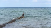 DSCF9984 (2).webp