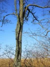 IMG_2178 (2).webp