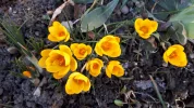 20190228_125706.webp