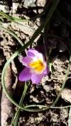 20190228_125631.webp