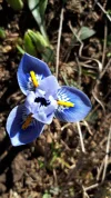 20190228_122837.webp