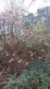 20190301_153417.webp