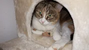 20190302_102145.webp
