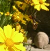 12.webp