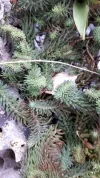 20190303_155821.webp