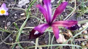 20190303_155710.webp