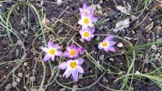 20190303_155538.webp