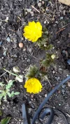 20190303_155337.webp