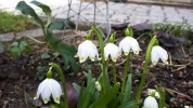 20190303_140152.webp