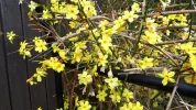 20190303_140003.webp