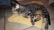 20190303_080520.webp
