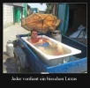 4 dark in der wanne.webp