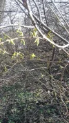 20190304_150836.webp