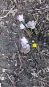 20190304_153441.webp