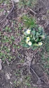 20190304_165207.webp