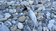 20180915_170136.webp