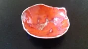 20190306_115424.webp