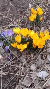 20190307_101753.webp