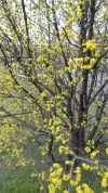 20190307_100908.webp