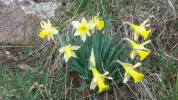 20190307_113107.webp