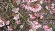 20190307_112005.webp