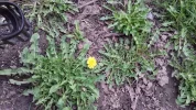 20190307_145856.webp