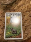 5B6F2AF8-9D2C-4DA7-B0F3-A82DE36DEEAC.webp