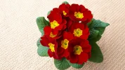 20190309_104728.webp