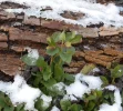 DSCN2281.webp