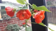 20190311_123024.webp