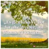 FB_IMG_1552300303382.webp