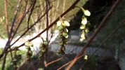 20190312_143256.webp