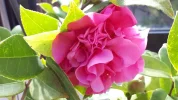 20190312_145548.webp