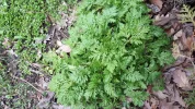 20190313_132854.webp