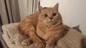 20190313_113539.webp