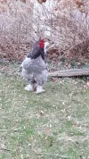 20190315_095412.webp