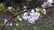 20190315_095449.webp