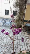 20190315_095240.webp